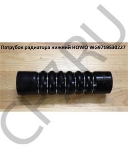 WG9719530227 Патрубок радиатора нижний  HOWO в городе Красноярск