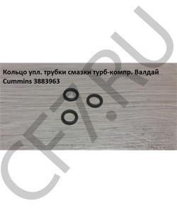 3883963 Кольцо упл. трубки смазки турб-компр. Валдай Cummins CUMMINS FOTON в городе Красноярск